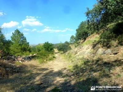 Meandros Río Lozoya-Pontón de la Oliva;actividad vespertina; hayedo de irati monsterio de piedra; 